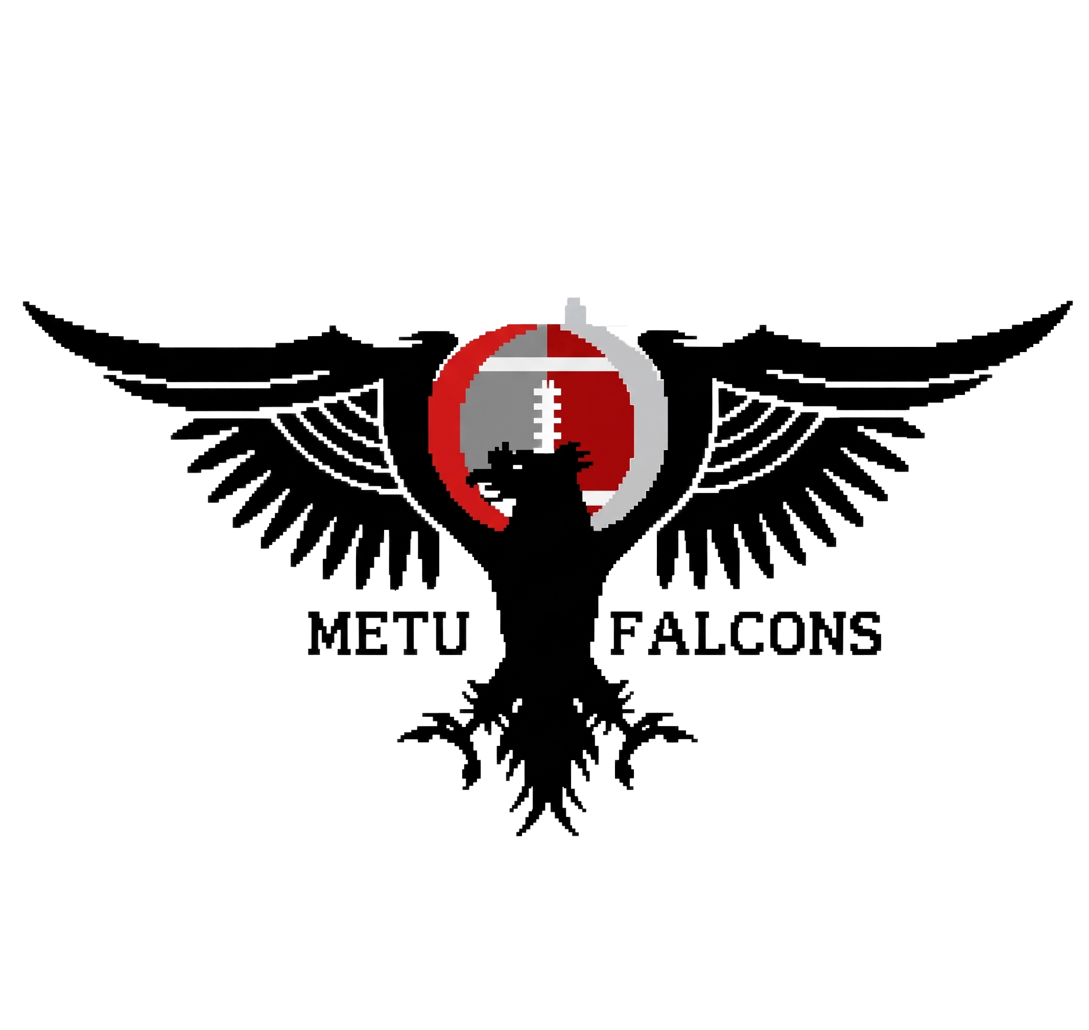 METU Falcons